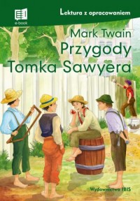 Przygody Tomka Sawyera (lektura - okładka książki