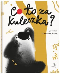 Co to za kuleczka? - okładka książki