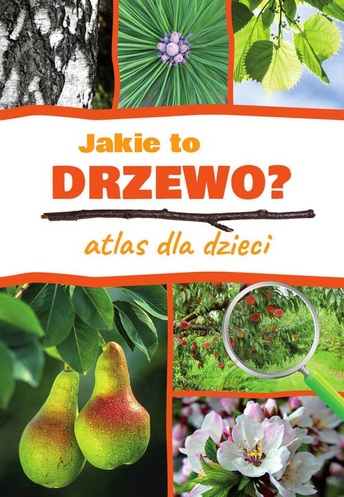 Jakie to drzewo? Atlas dla dzieci - okładka książki
