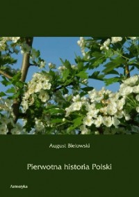 Pierwotna historia Polski - okładka książki