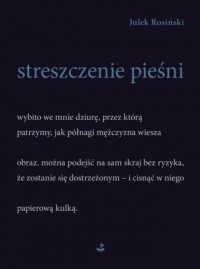 Streszczenie pieśni - okładka książki