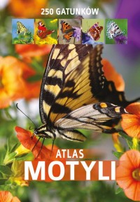 Atlas motyli - okładka książki