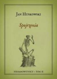 Niesamowitnicy. Tom 2. Spojrzenia - okładka książki