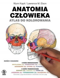 Anatomia człowieka. Atlas do kolorowania - okładka książki
