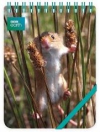 Kołonotes ozdobny Harvest Mouse - zdjęcie produktu