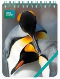 Kołonotes ozdobny King Penguins - zdjęcie produktu