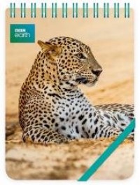 Kołonotes ozdobny Leopard in sand - zdjęcie produktu