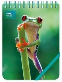 Kołonotes ozdobny Red Eyed Frog - zdjęcie produktu