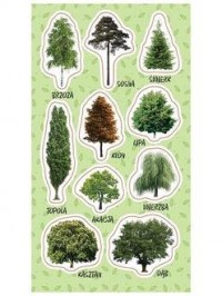 Naklejki Drzewa - zdjęcie produktu