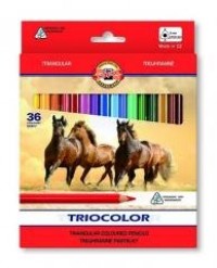 Kredki Triocolor 36 kolorów - zdjęcie produktu