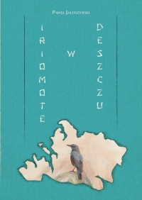 Iriomote w deszczu - okładka książki