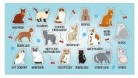 Naklejki Rasy kotów - zdjęcie produktu