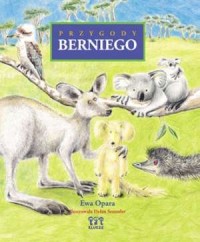 Przygody Berniego - okładka książki