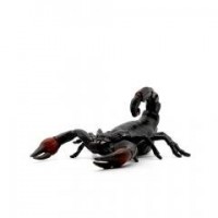 Gumowy skorpion - zdjęcie zabawki, gry