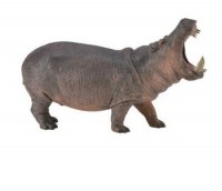 Hipopotam - zdjęcie zabawki, gry