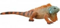 Iguana - zdjęcie zabawki, gry