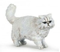 Kot perski - zdjęcie zabawki, gry