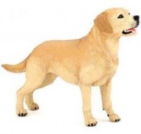Labrador - zdjęcie zabawki, gry