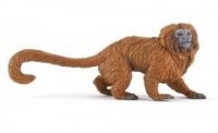 Marmozeta lwia - zdjęcie zabawki, gry