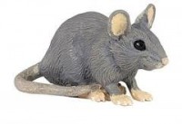 Mysz polna - zdjęcie zabawki, gry