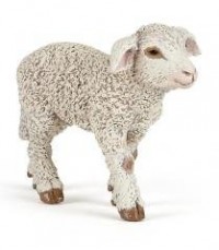 Owieczka Merynos - zdjęcie zabawki, gry