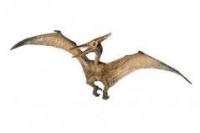 Pteranodon - zdjęcie zabawki, gry