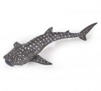 Rekin wielorybi młody - zdjęcie zabawki, gry