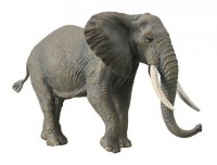 Słoń Afrykański - zdjęcie zabawki, gry