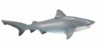 Żarłacz tępogłowy - zdjęcie zabawki, gry