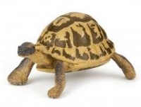 Żółw Hermana - zdjęcie zabawki, gry