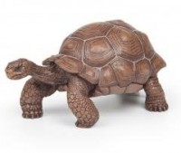 Żółw z Galapagos - zdjęcie zabawki, gry