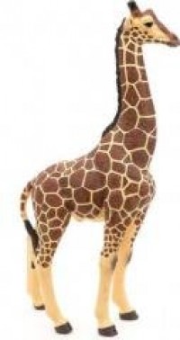 Żyrafa samiec - zdjęcie zabawki, gry