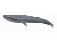 Blue Whale - zdjęcie zabawki, gry
