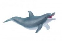 Delfin bawiący się - zdjęcie zabawki, gry