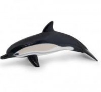 Delfin zwyczajny - zdjęcie zabawki, gry