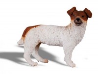 Pies Jack Russell Terier - zdjęcie zabawki, gry