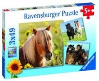 Puzzle 3x49 Konie - zdjęcie zabawki, gry