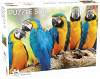 Puzzle 500 Animal: Parrots - zdjęcie zabawki, gry