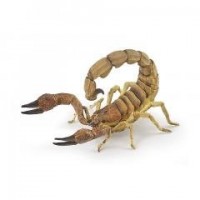 Skorpion - zdjęcie zabawki, gry