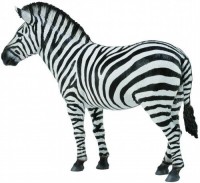 Zebra Common - zdjęcie zabawki, gry