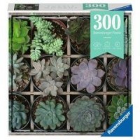 Puzzle Moment 300 Rośliny - zdjęcie zabawki, gry