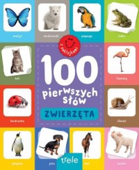 Zwierzęta. 100 pierwszych słów - okładka książki