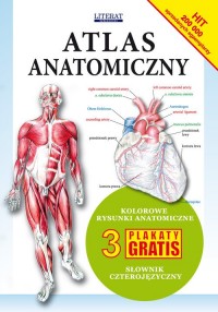 Atlas anatomiczny. Kolorowe rysunki - okładka książki
