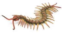 Centipede - zdjęcie zabawki, gry