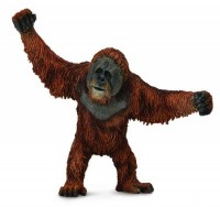 Orangutan - zdjęcie zabawki, gry