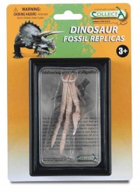 Replika kończyny dolnej Velociraptora - zdjęcie zabawki, gry