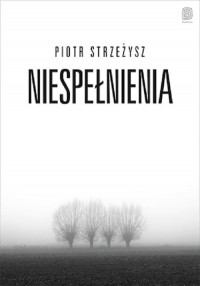 Niespełnienia - okładka książki