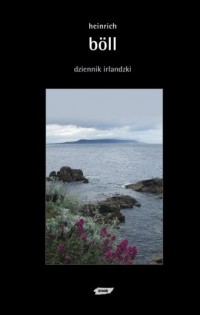 Dziennik irlandzki - okładka książki