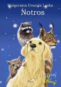 Notros - okładka książki