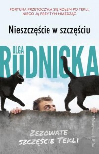 Nieszczęście w szczęściu (kieszonkowe) - okładka książki